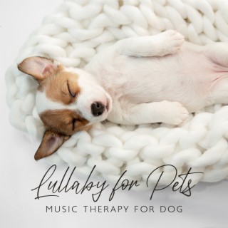 Lullaby for Pets: Music Therapy for Dog, Anti Anxiety, Inner Peace, Anxiousness, Insomnia, Gentle Sounds for Puppies