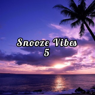 Snooze Vibes 5