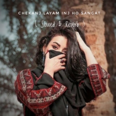Chekanj Layam Inj Ho Sangat (Slowed & Reverb)