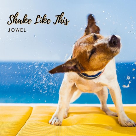 Shake Like This | Boomplay Music