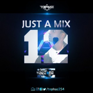DJ TOPHAZ - JUST A MIX 12