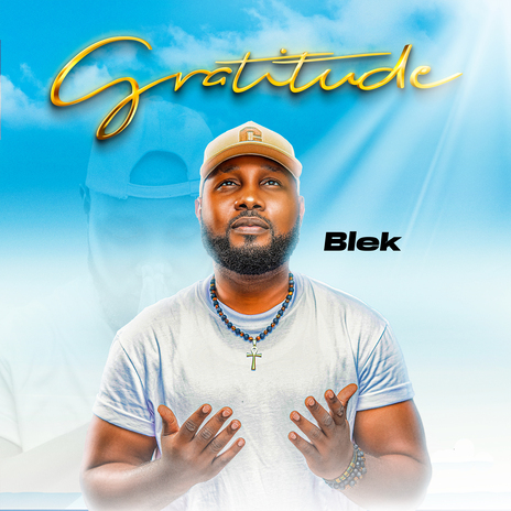 Gratitude | Boomplay Music