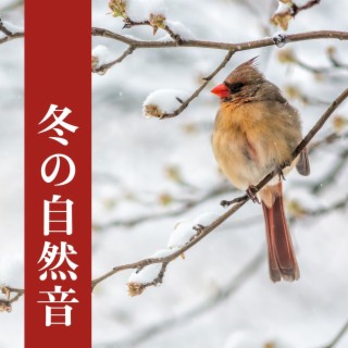 冬の自然音: 優しい癒しＢＧＭ, 鳥のさえずり, 小川のせせらぎ, ホワイトノイズ