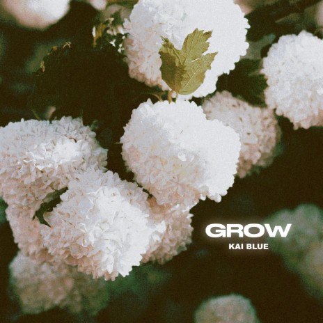 Grow ft. GC Beats | Boomplay Music