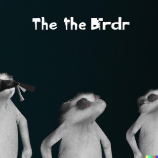 The The Birdr