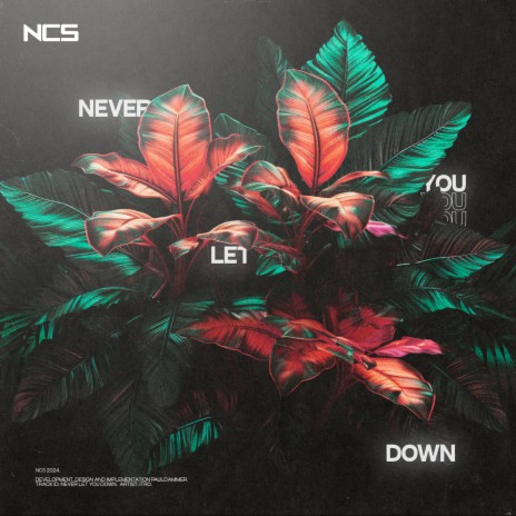 Never Let You Down | Boomplay Music