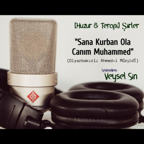 Sana Kurban Ola Canım Muhammed (Dini Şiir) - Huzur & Terapi Şiirler | Boomplay Music