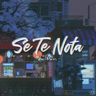 Se Te Nota lyrics | Boomplay Music