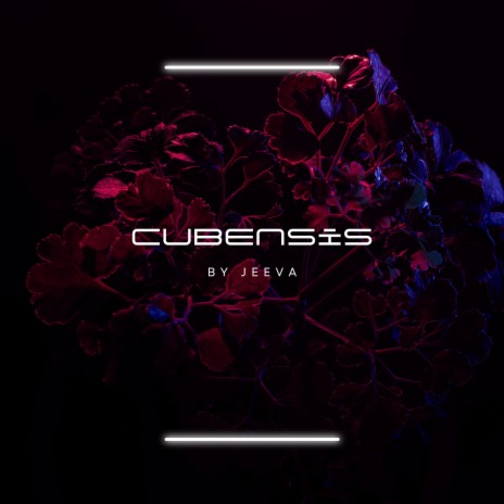 Cubensis By Jeeva