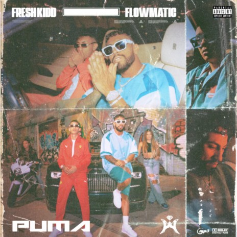 PUMA ft. Flowmatic | Boomplay Music