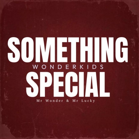 Something Special ft. Mr Wonder & Mr Lucky | Boomplay Music