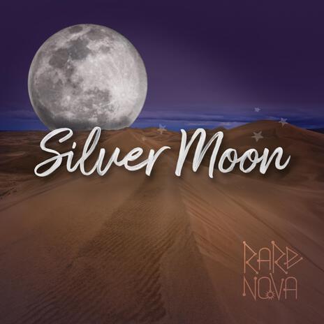 Silver Moon | Boomplay Music