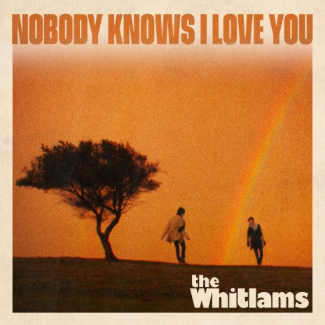 Nobody Knows I Love You | Boomplay Music