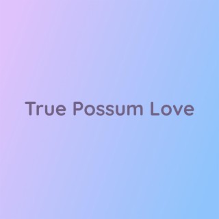 True Possum Love