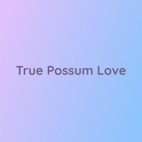 True Possum Love