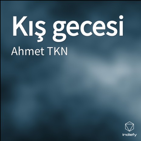 Kış gecesi | Boomplay Music