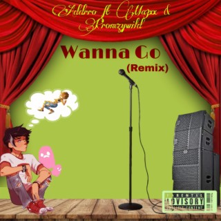 Wanna Go (Remix)