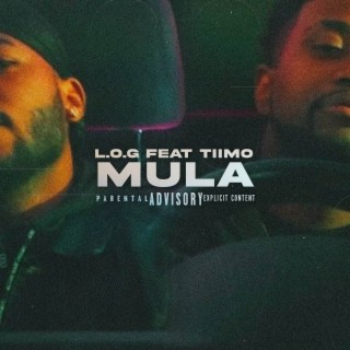 Mula