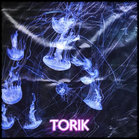 TORIK | Boomplay Music