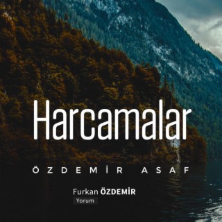 Özdemir Asaf - Harcamalar