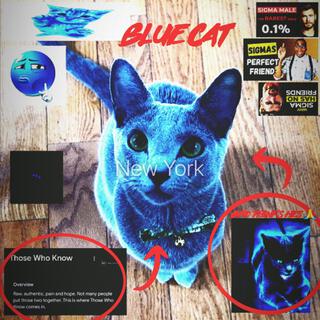 BLUE CAT