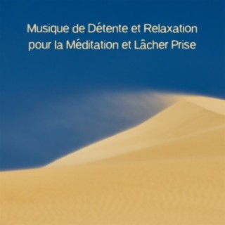 Musique de détente et relaxation pour la méditation et lâcher prise