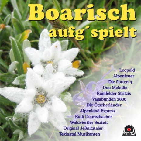 Boarisch Aufg´spielt | Boomplay Music