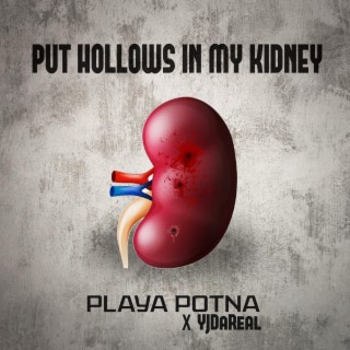 Put hollows in my kidney