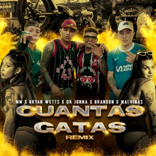 Cuantas Gatas (Remix)