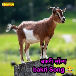 बकर सनग Bakri Song