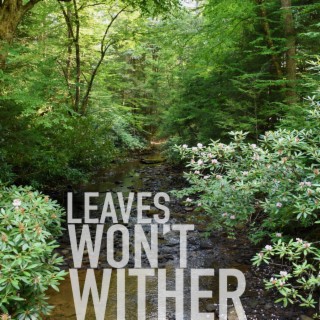 Leaves Won't Wither