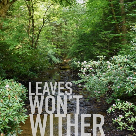 Leaves Won't Wither