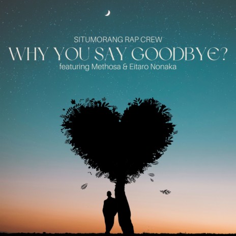 Why You Say Goodbye? ft. Methosa & Eitaro Nonaka | Boomplay Music