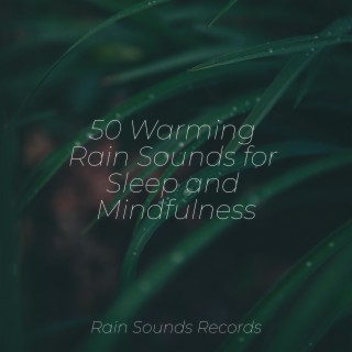  Bird Song Yoga Journey: Rain and Chill Music for Zen