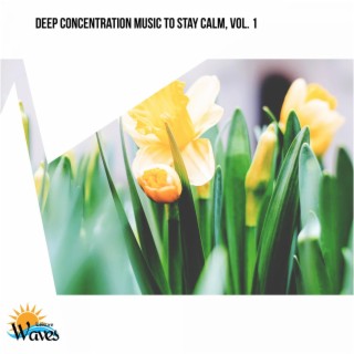 Deep Concentration Music to Stay Calm, Vol. 1