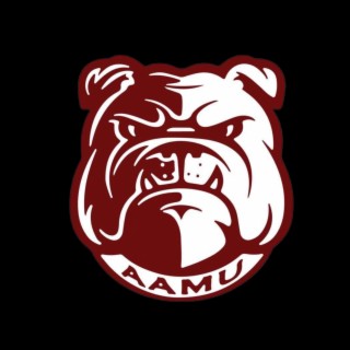 AAMU lyrics | Boomplay Music