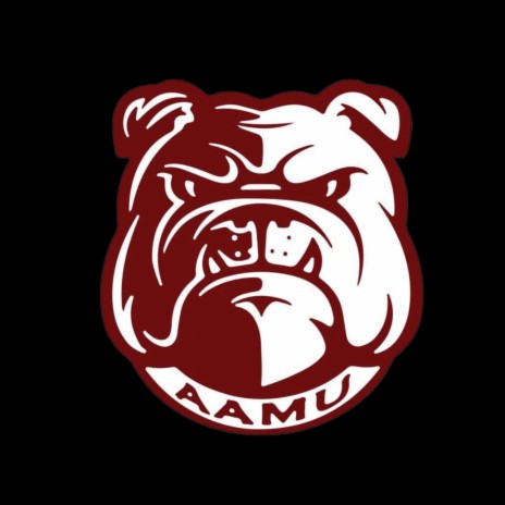 AAMU | Boomplay Music