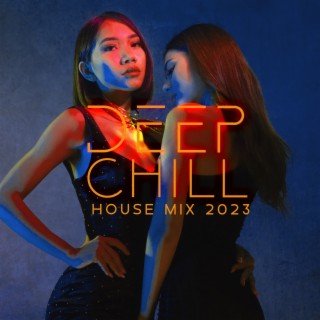 Deep Chill House Mix 2023