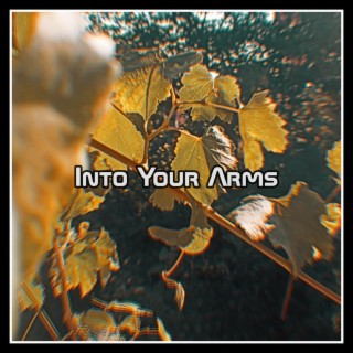 Into Your Arms