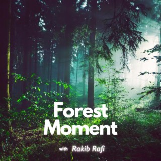 Forest Moment