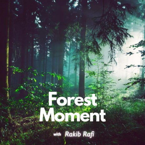Forest Moment | Boomplay Music