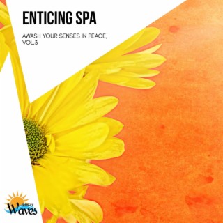 Enticing Spa - Awash Your Senses in Peace, Vol.3