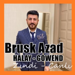 Zava Kürtçe Uzun Halay Canlı