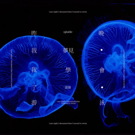 昨晚我梦见我学会了游泳 | Boomplay Music