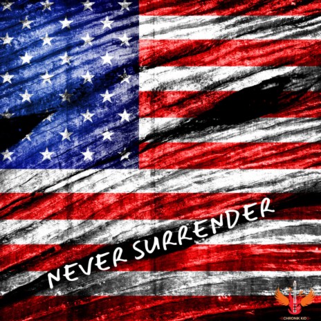 NEVER SURRENDER | Boomplay Music