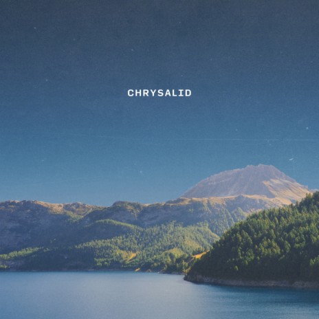 Chrysalid