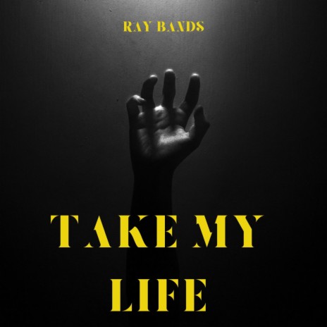 Take My Life | Boomplay Music