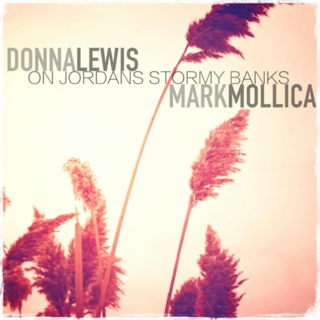 On Jordans Stormy Banks ft. Mark Mollica | Boomplay Music