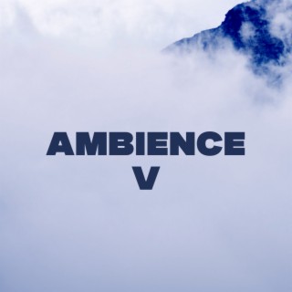 Ambience V