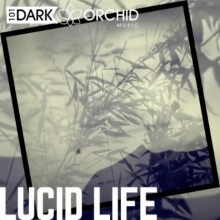 Lucid Life